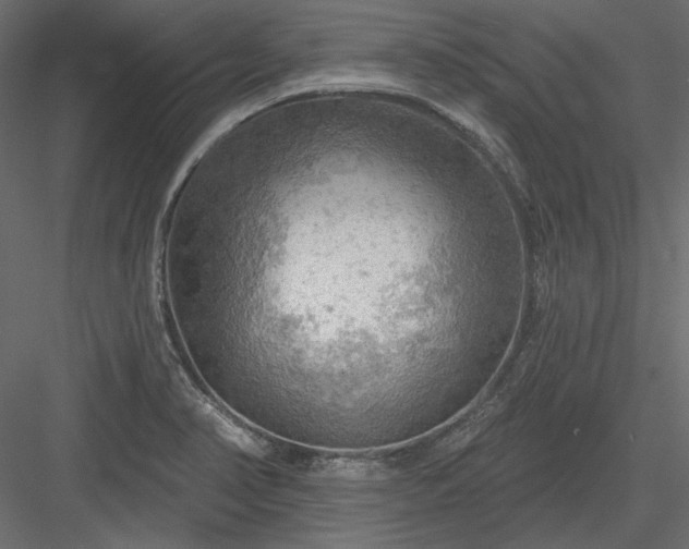 X0000083971374200702232006