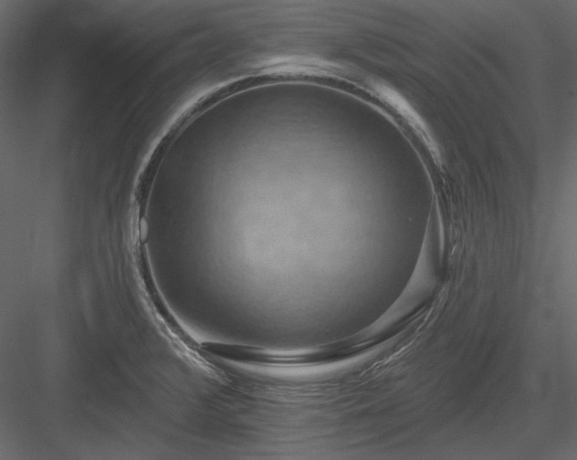 X0000083971376200702232006