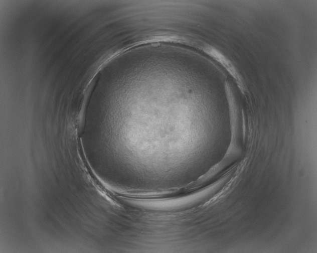 X0000083971377200702232006