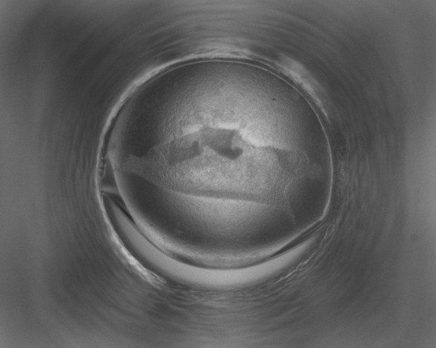 X0000083971379200702232006