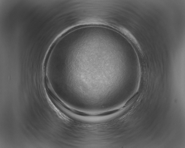 X0000083971380200702232006