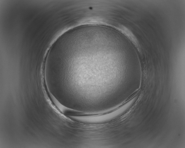 X0000083971382200702232006
