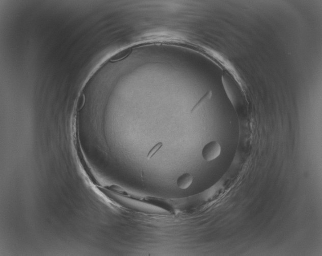 X0000083971383200702232006