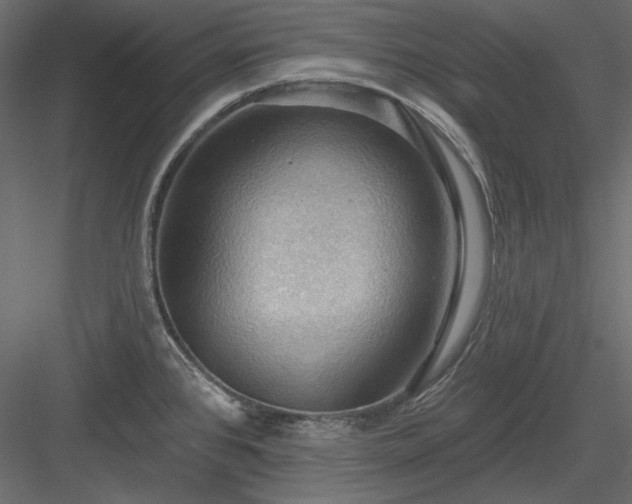 X0000083971384200702232006