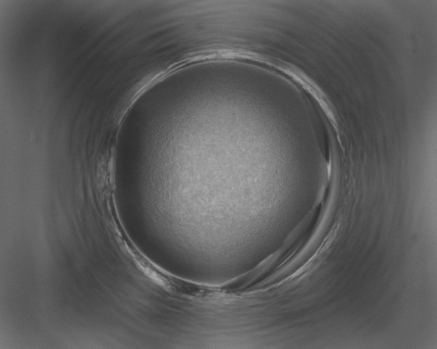 X0000083971385200702232006