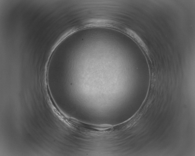 X0000083971386200702232006