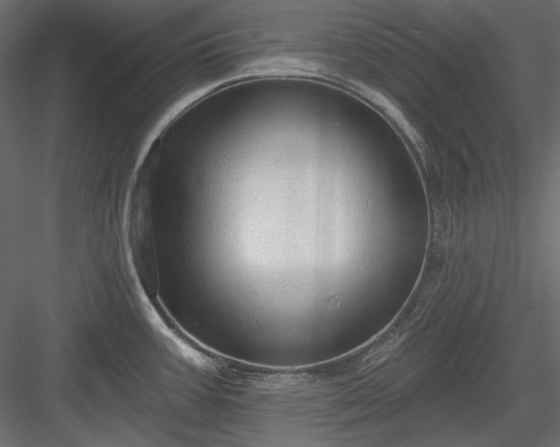 X0000083971387200702232006