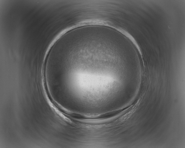 X0000083971389200702232006