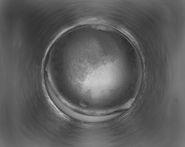 X0000083971392200702232006