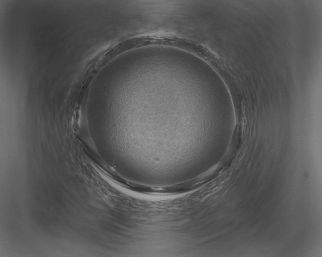 X0000083971398200702232005