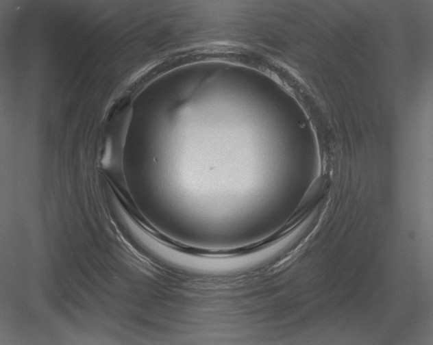 X0000083971402200702232005