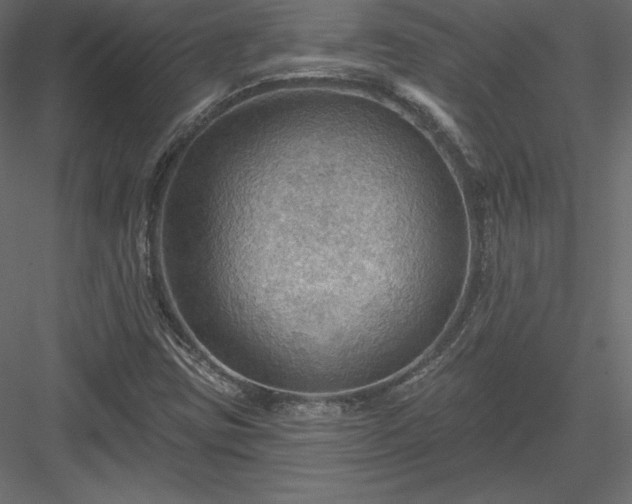 X0000083971403200702232005