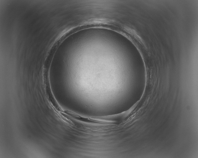 X0000083971404200702232005