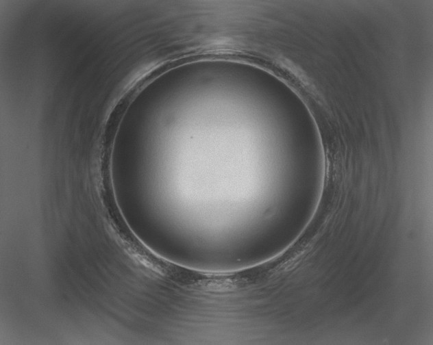 X0000083971410200702232005