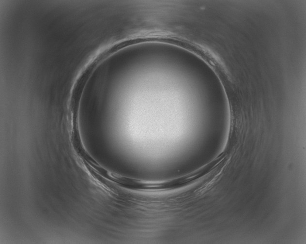 X0000083971414200702232006