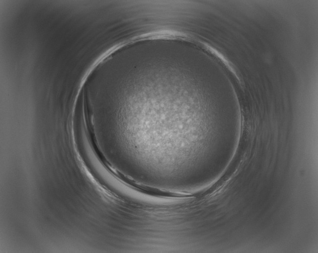 X0000083971418200702232006