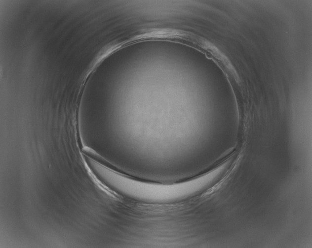 X0000083971425200702232006