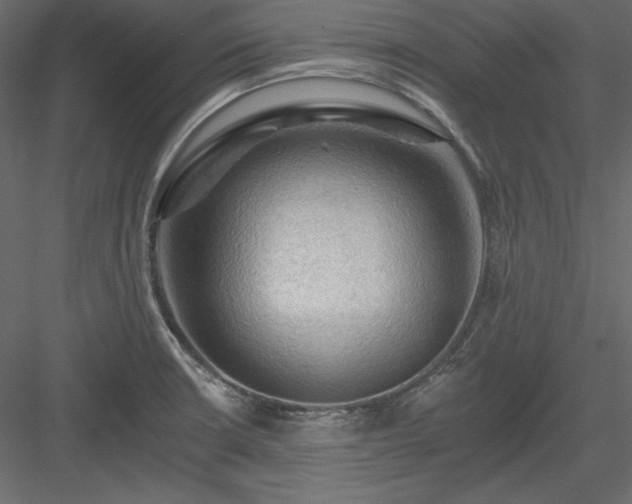 X0000083971426200702232006