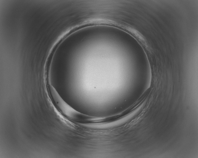 X0000083971430200702232006