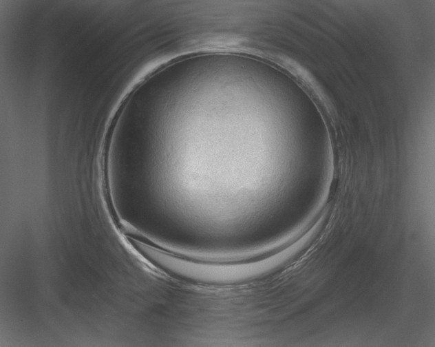 X0000083971432200702232006
