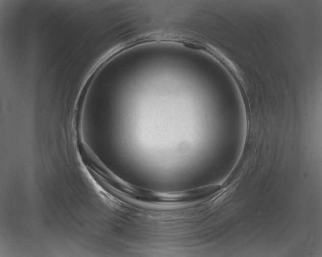 X0000083971434200702232006