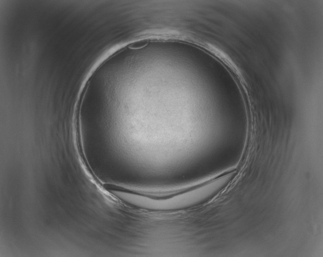X0000083971440200702232006