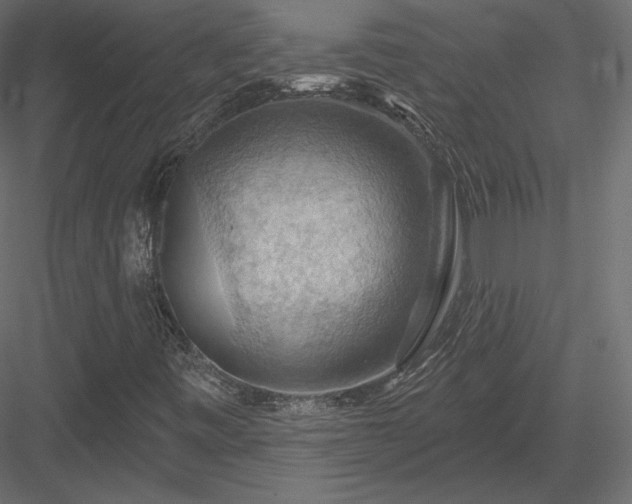 X0000083971443200702232005