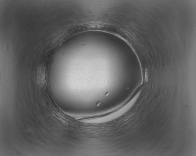 X0000083971444200702232005