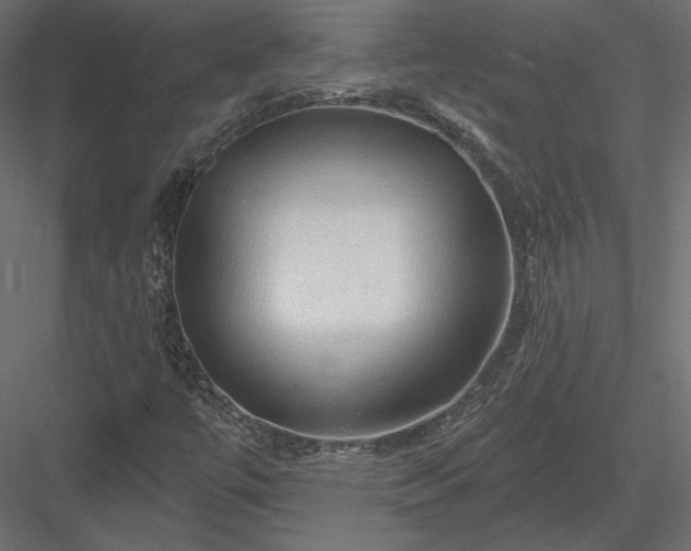 X0000083971447200702232005