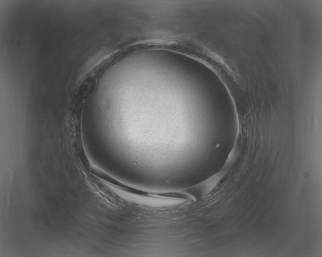 X0000083971448200702232005