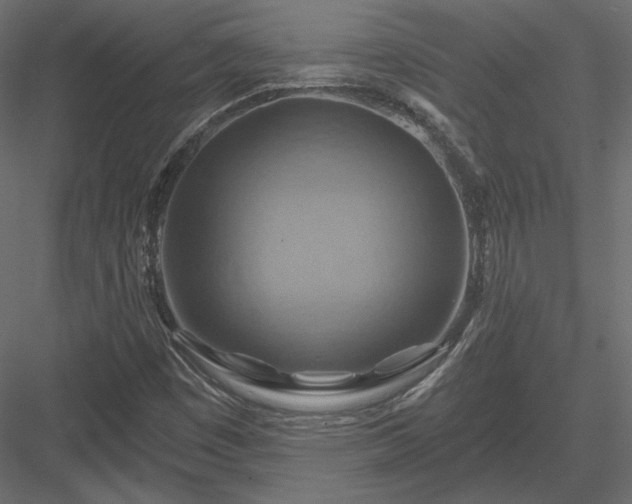 X0000083971449200702232005
