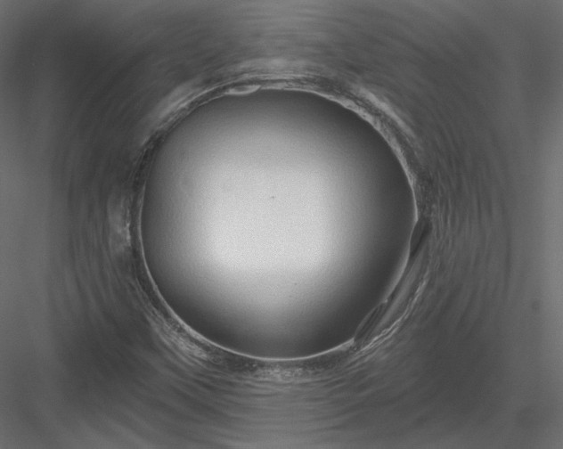 X0000083971451200702232005