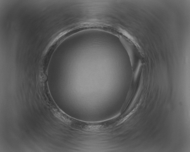 X0000083971453200702232005