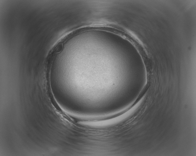 X0000083971456200702232005