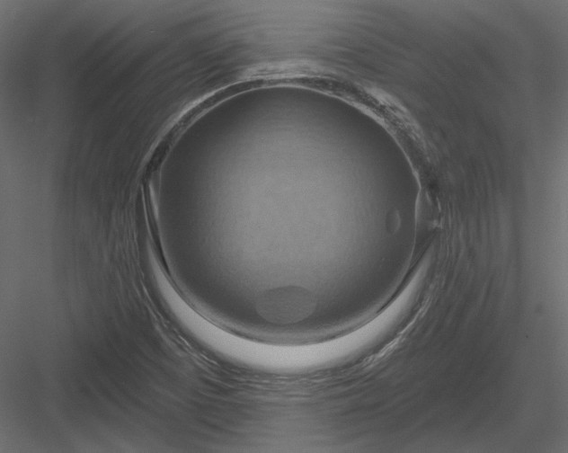 X0000083971457200702232005