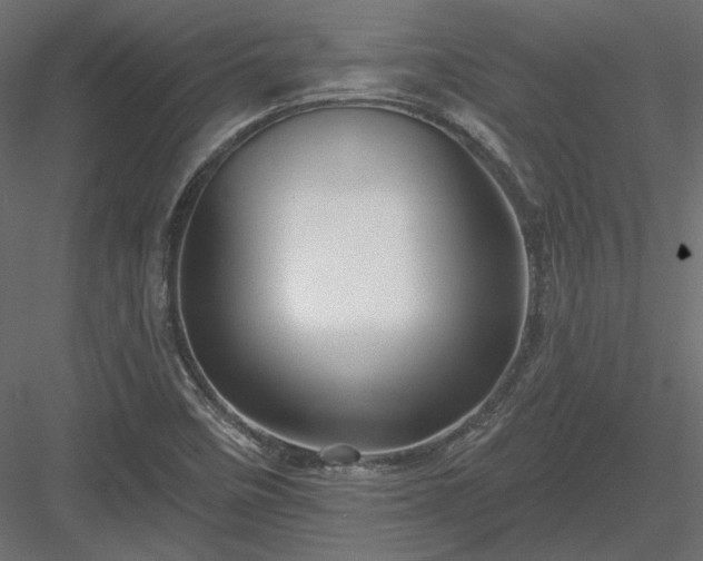 X0000083971458200702232005
