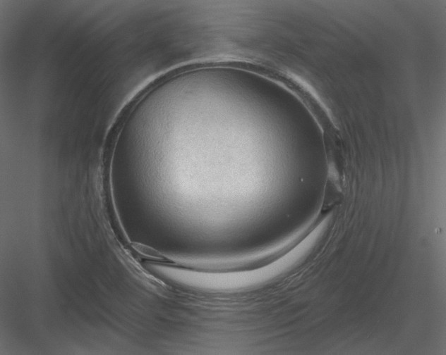 X0000083971460200702232005