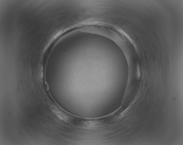 X0000083971461200702232005