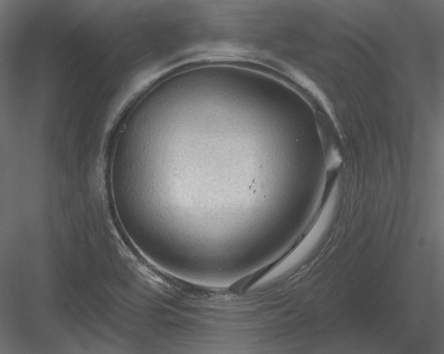 X0000083971464200702232005