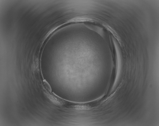 X0000083971465200702232005