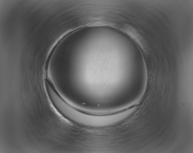 X0000083971476200702232005