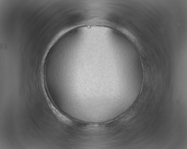X0000083971478200702232005