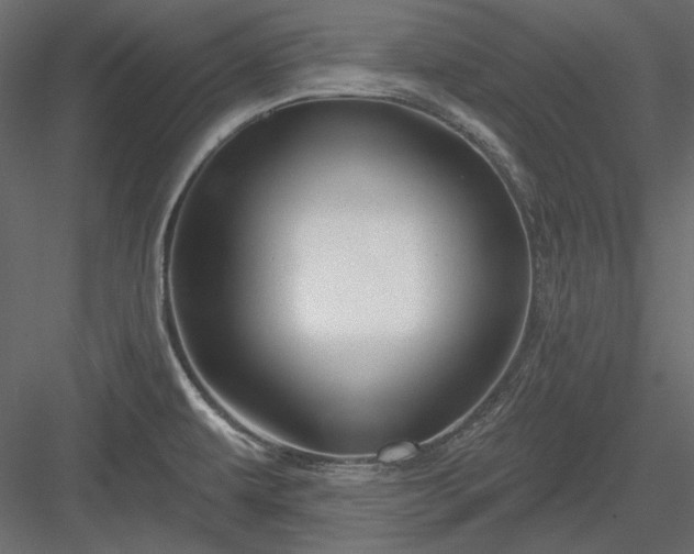 X0000083971479200702232005