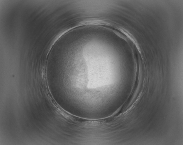 X0000083971481200702232004