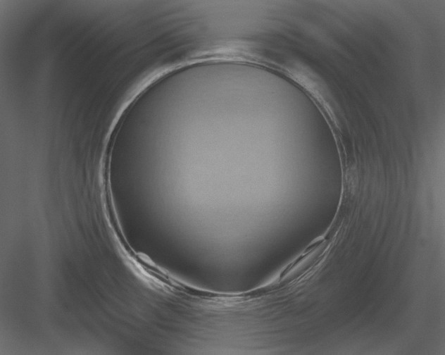 X0000083971482200702232004