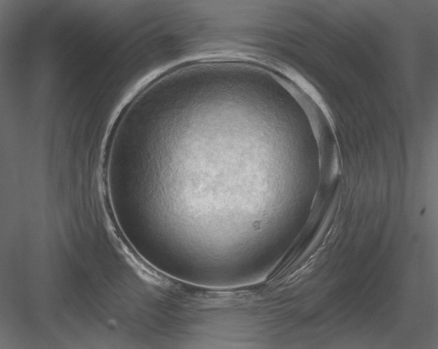 X0000083971485200702232004