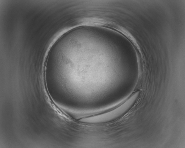 X0000083971488200702232004