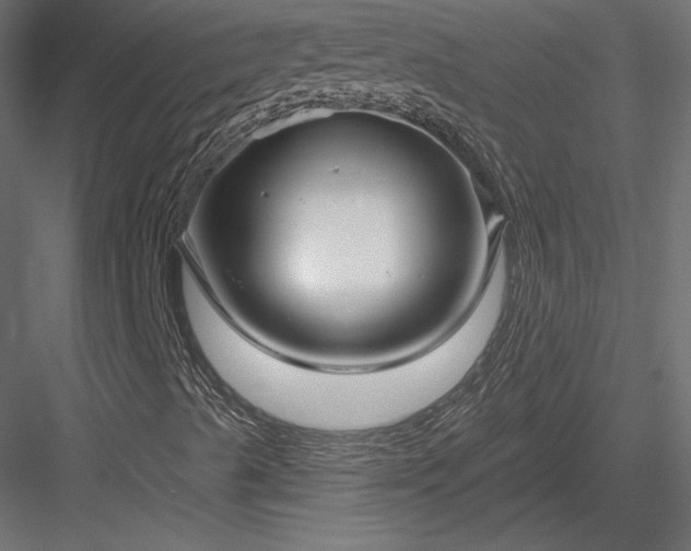 X0000083971489200702232004