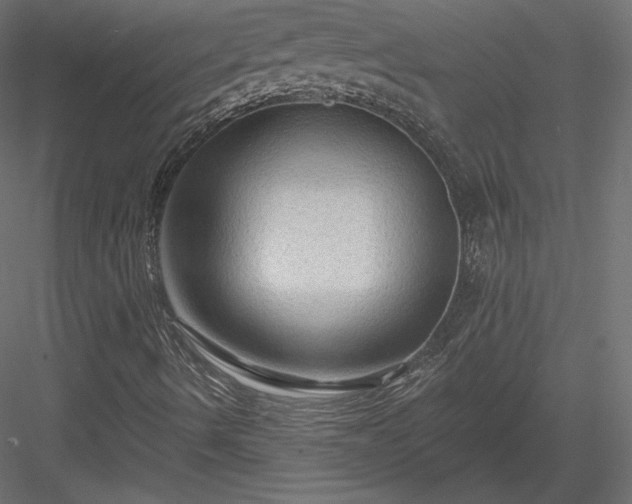 X0000083971490200702232004