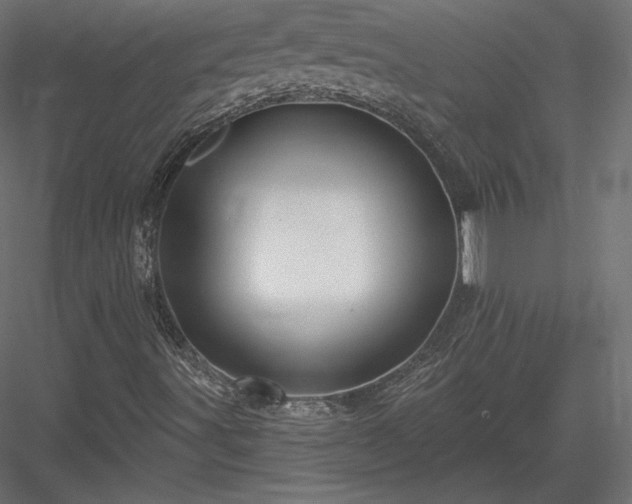 X0000083971491200702232004